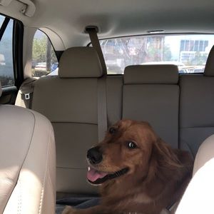 Meet your Posher, Joseph